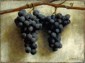 Joseph Decker, Grapes, American, 1853-1924, c. 1890-1895, oil on canvas