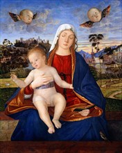 Vittore Carpaccio, Madonna and Child, Italian, c. 1465-1525-1526, c. 1505-1510, oil on panel