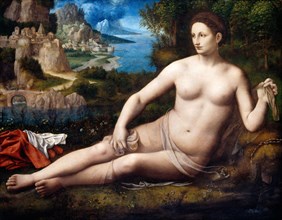 Bernardino Luini, Venus, Italian, c. 1480-1532, c. 1530, oil on panel