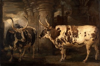 Portraits of two extraordinary oxen, the property of the Earl of Powis, James Ward, 1769-1859,