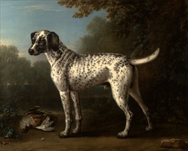 A Grey Spotted Hound Signed, lower right: "J. Wootton [pinx?]", John Wootton, 1682-1764, British
