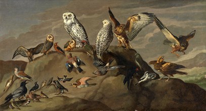 Study of Birds, unknown artist, 18th century, British