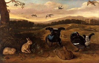 Black Game, Rabbits, and Swallows in a Park Black Game, Rabbits and Swallows in the Park of a