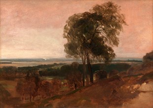 Landscape study at sunset, Peter DeWint, 1784-1849, British