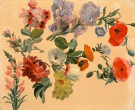 Studies of Summer Flowers, Jacques-Laurent Agasse, 1767-1849, Swiss