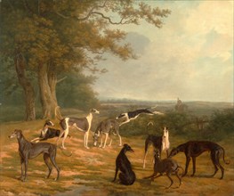Nine Greyhounds in a Landscape Signed, lower right: "J. L. Agasse", Jacques-Laurent Agasse,