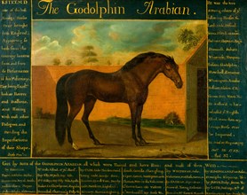 The Godolphin Arabian Signed, lower left [in artist's hand?]: "Quigley Pinx.t", Daniel Quigley,