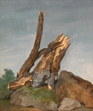 Study of Rocks and Branches, George Augustus Wallis, 1770-1847, British