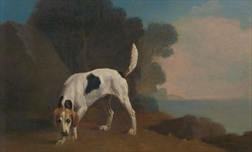 Foxhound Foxhound on the Scent, George Stubbs, 1724-1806, British