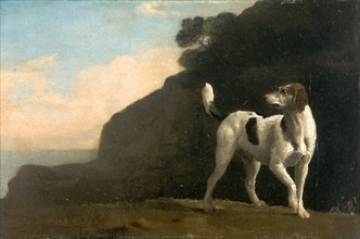 Foxhound A Foxhound, George Stubbs, 1724-1806, British