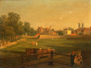 A Western View of part of Westminster and Bird Cage Walk taken from the Mill House..., Signed and