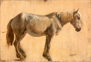 Study of a Grey Horse, Jacques-Laurent Agasse, 1767-1849, Swiss