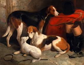 A Couple of Foxhounds with a Terrier, the property of Lord Henry Bentinck Couple of foxhounds, the