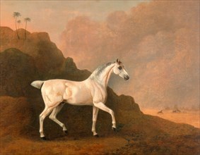 A Grey Arab Stallion in a Desert Landscape, John Boultbee, 1753-1812, British