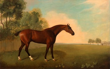 A Bay Horse in a Field Horse in a Landscape Signed and dated, lower right: "JB [in monogram] 1778",