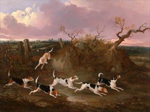Beagles in Full Cry Harriers Signed and dated in orange color paint, lower left: "Dalby, 1845",