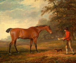 A Bay Horse Approached by a Stable-Lad with Food and a Halter Signed and dated in brown paint,
