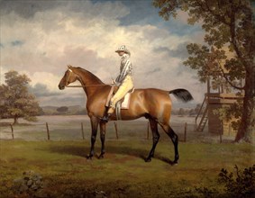 Portrait of a Racehorse, Possibly Disguise, the Property of the Duke of Hamilton, with Jockey Up ?