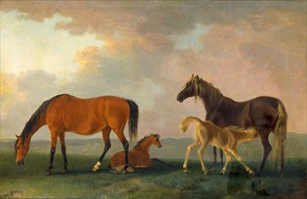 Mares and Foals, facing left, Sawrey Gilpin, 1733-1807, British