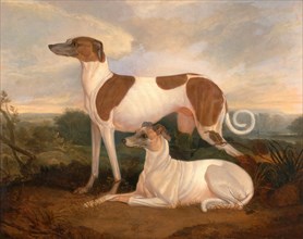 Two Greyhounds in a Landscape Signed, lower right: "C. Hancock . pinx", Charles Hancock, 1802-1877,