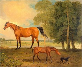 Broodmare with Foal, and a Terrier Broodmare with Foal and Terrier Near Newmarket: Broodmare with