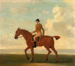 One of Four Portraits of Horses - a Chestnut Racehorse with Jockey Up: walking to the left; jockey