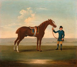 One of Four Portraits of Horses - a Chestnut Horse (? Old Partner) held by a Groom: standing facing