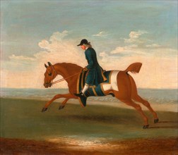 One of Four Portraits of Horses - a Chestnut Racehorse Exercised by a Trainer in a Blue Coat: