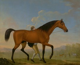 The Duke of Ancaster's Bay Stallion, Blank, Walking Towards a Mare King Herod, a bay stallion, with