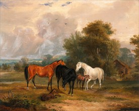 Horses Grazing: Mares and Foals in a Field Mares and Foals Signed and dated in brown paint, lower