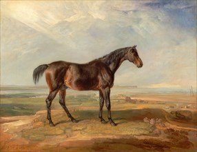 Dr. Syntax, a Bay Racehorse, Standing in a Coastal Landscape, an Estuary Beyond Signed and dated,