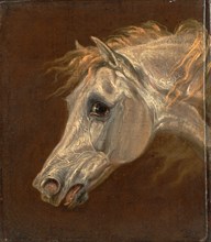 Head of a Grey Arabian Horse Signed in black paint, lower right: "MTW", Martin Theodore Ward,