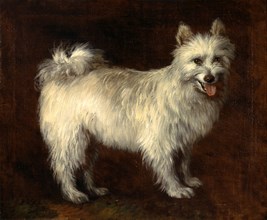 Spitz Dog A Dog, Thomas Gainsborough, 1727-1788, British