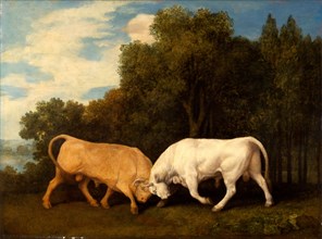 Bulls Fighting Signed and dated, lower right: "geo : stubbs pinxit | 1786", George Stubbs,