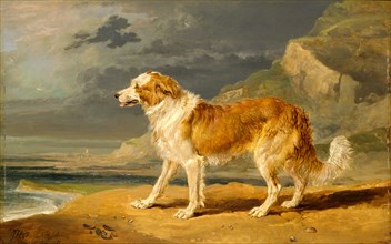 Rough-Coated Collie Signed in brown paint, lower left: "J WARD[monogram].ARA", James Ward,