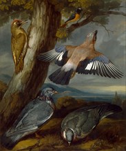 Jay, Green Woodpecker, Pigeons, and Redstart Landscape with a Green Woodpecker, a Jay, Two Pigeons,