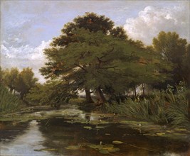 On the Isis, Waterperry, Oxfordshire, William Alfred Delamotte, 1775-1863, British