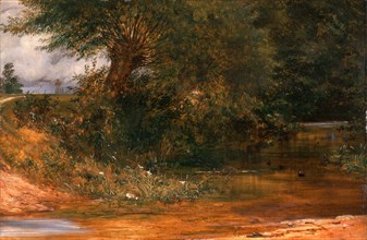 The Moorhen's Haunt, Richard Redgrave, 1804-1888, British