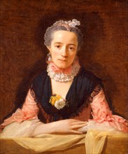 Lady in a Pink Silk Dress Portrait of a woman An Unknown Woman in a Pink Dress, Allan Ramsay,