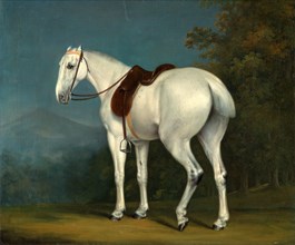 A Lady's Grey Hunter, Jacques-Laurent Agasse, 1767-1849, Swiss