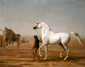 The Wellesley Grey Arabian Led through the Desert, Jacques-Laurent Agasse, 1767-1849, Swiss
