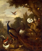 Peacock, peahen, parrots, canary, and other birds in a park Signed, lower center: "J. Bogdani",