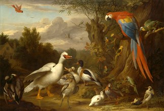 A Macaw, Ducks, Parrots and Other Birds in a Landscape Signed, lower left: "J. Bogdani", Jacob