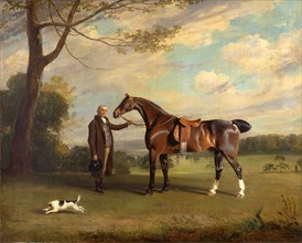 The Earl of Shrewsbury's Groom Holding a Hunter A Groom with a Bay Hunter in a Park, Henry Bernard