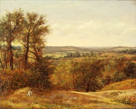 Dedham Vale, John Constable, 1776-1837, British