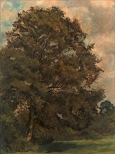 Study of an Ash Tree, Lionel Constable, 1828-1887, British