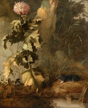 An Egyptian Poppy and a Water Mole A Thistle and Water Vole, Attributed to John Crome, 1768-1821,