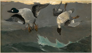 Winslow Homer, Right and Left, American, 1836-1910, 1909, oil on canvas