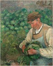 Pissarro, Le jardinier, vieux paysan avec un chou