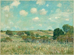 Alfred Sisley, Meadow, French, 1839-1899, 1875, oil on canvas